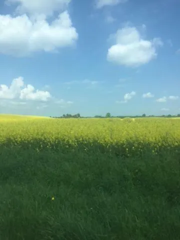 Casa vacanze Bei Ploen